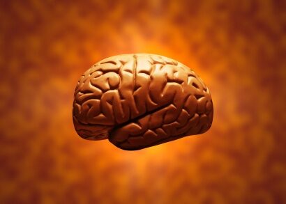 brain-8608383