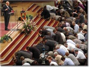 1sheep2-300x226-3880060