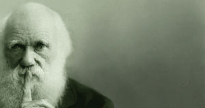 darwin-300x158-4603959