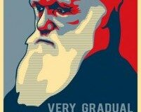 darwin-change-201x160-5096394