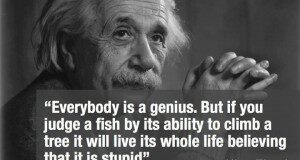 einstein-genius-300x160-9061865