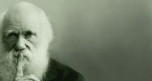 darwin-300x160-2589233