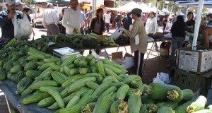 market-300x160-8698801