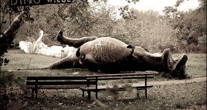 spreepark-dinosaur-graveyard-8-300x160-3222920