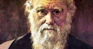 darwin-300x160-8782334