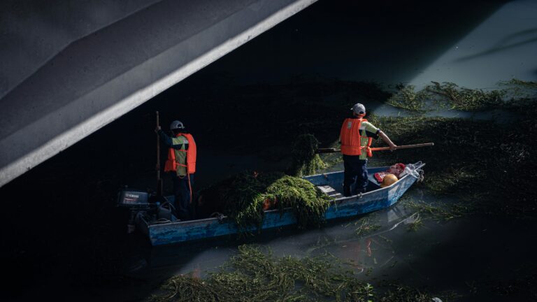 Seeing the Social Side of Green Issues